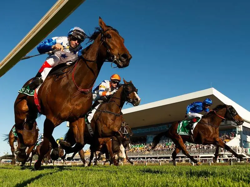 FREE: Our NSW Country / Provincial Best Bets & Staking Plan 3/9 Image