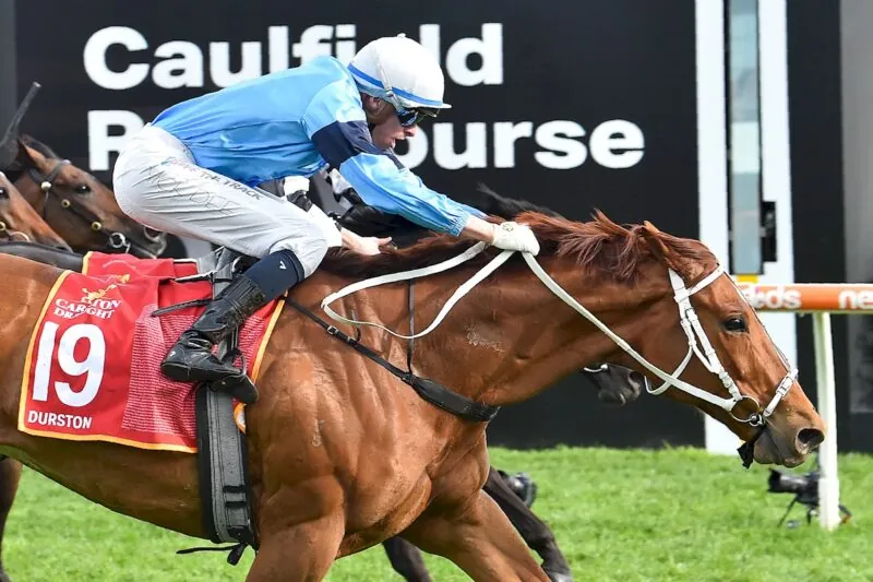 FREE: Caulfield Tip Sheet & Staking Plan: Saturday 27th July Image