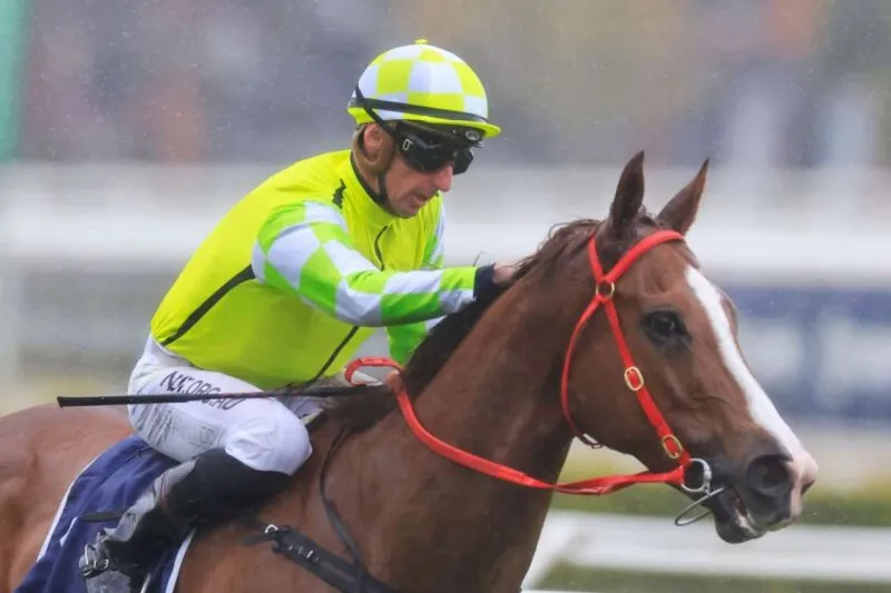 Randwick Review: Veterans To The Fore Image