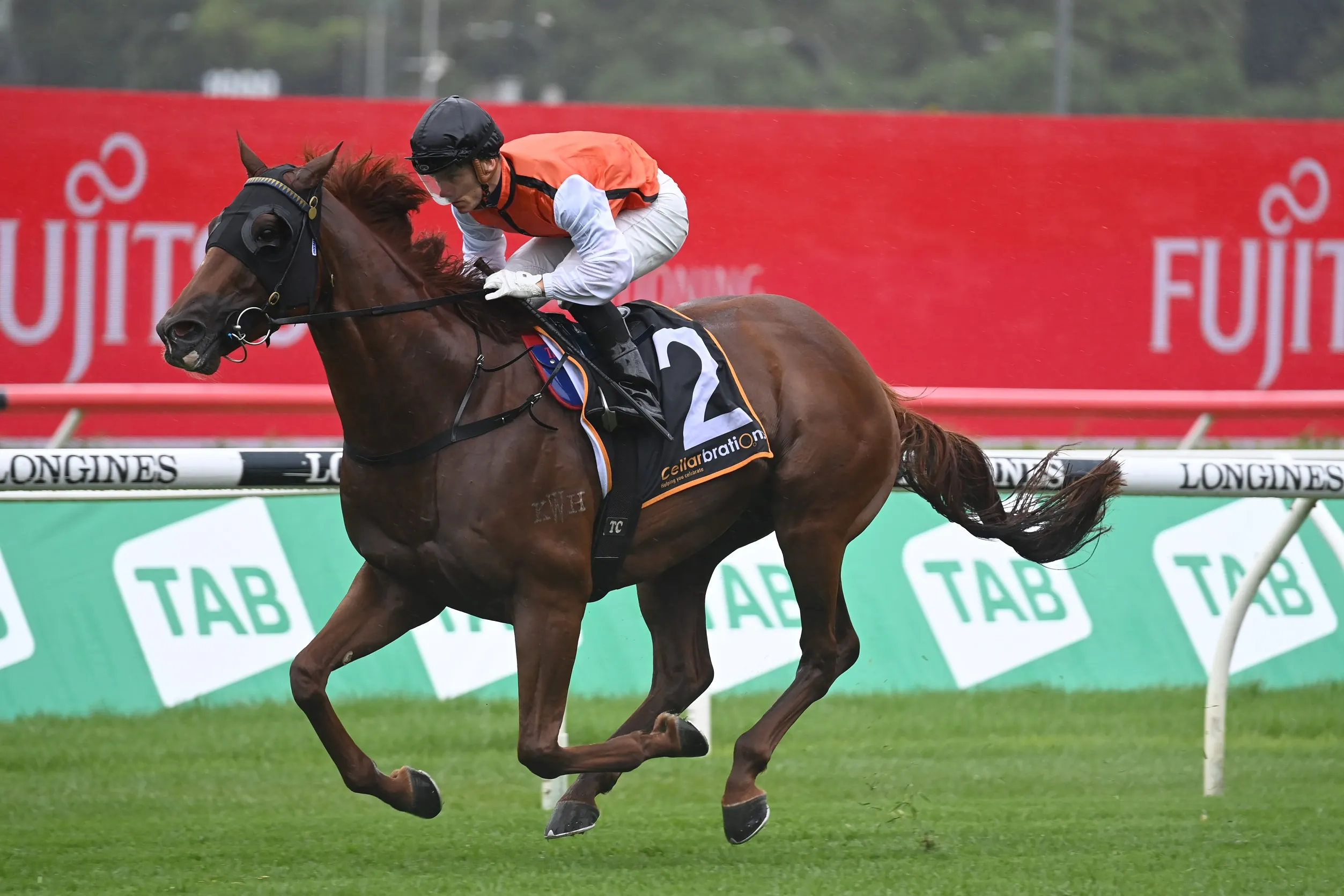 FREE: Rosehill Tip Sheet & Staking Plan: Saturday 5th November Image