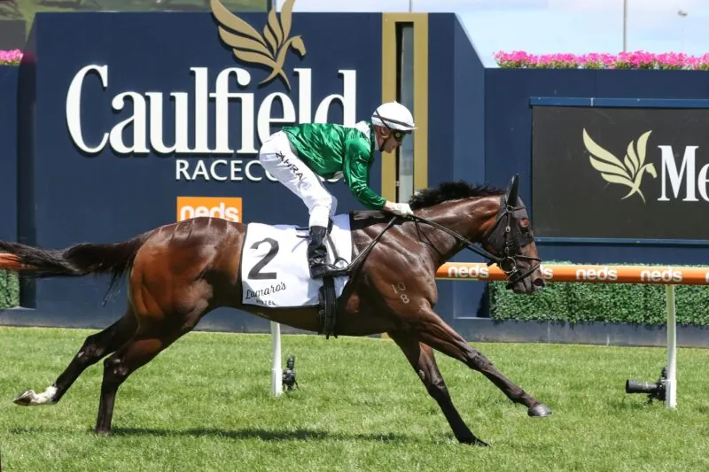 FREE: Caulfield Tip Sheet & Staking Plan: Saturday 13th August Image