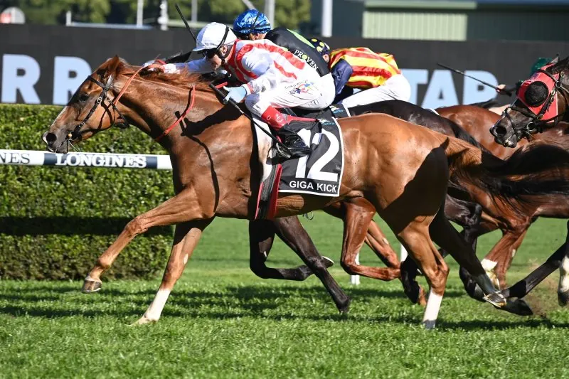 The Everest Race Day Tipping Competition – $1,000 To Be Won Image