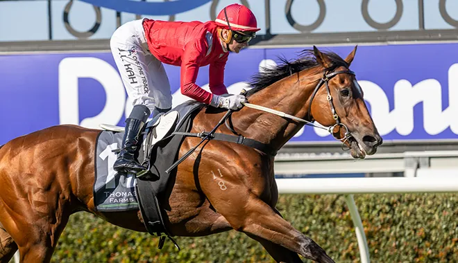 Moonee Valley Preview: Star Adelaide Sprinter Ready For Next Step Image