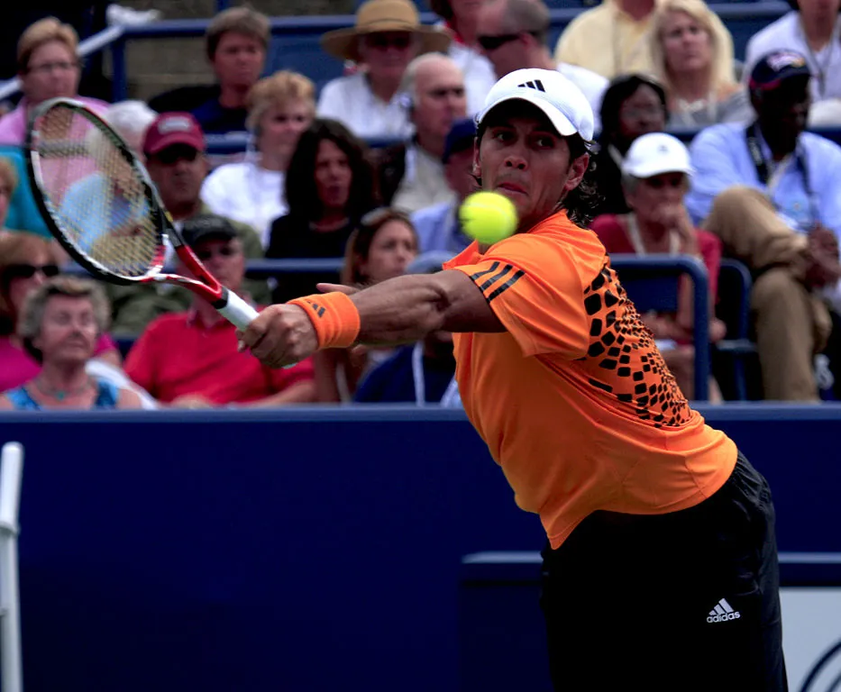 Fernando Verdasco suspended two months for doping Image