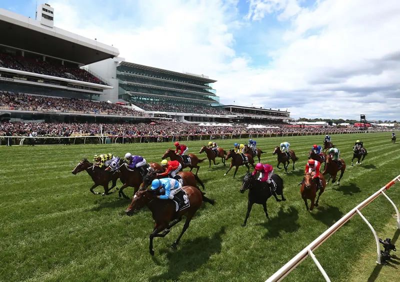 Flemington Tip Sheet & Staking Plan: Saturday 7th November Image