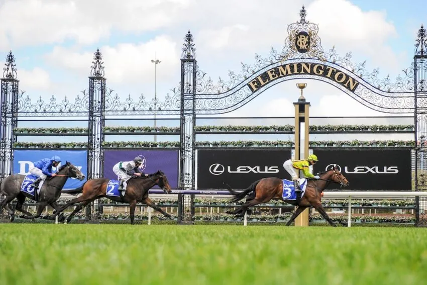 Black Book: Horses You Must Follow From Flemington 18/2 Image