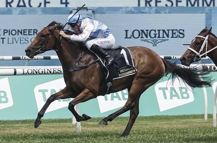 Forbidden Love on track for 3-year-old Magic Millions Classic Image