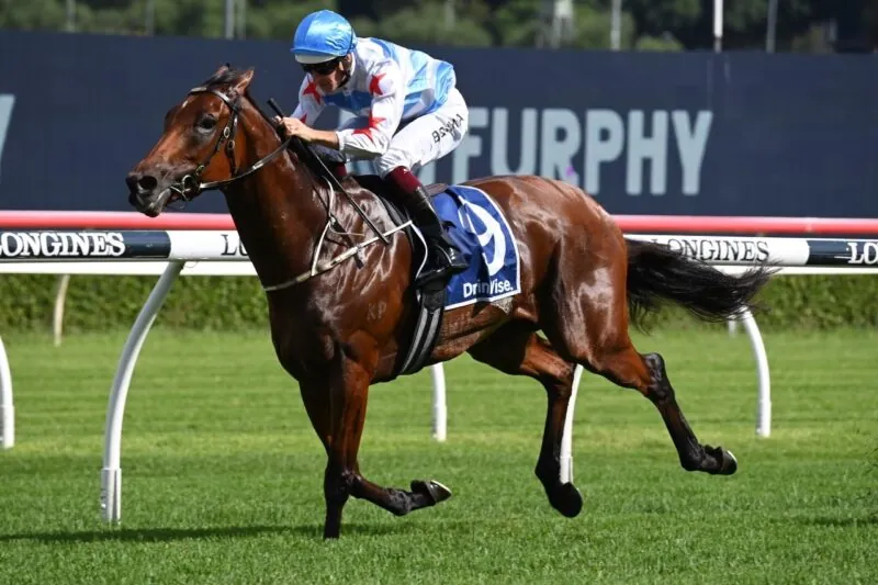 Randwick Preview: Freedman’s Star Mare Ready For Big Spring Image