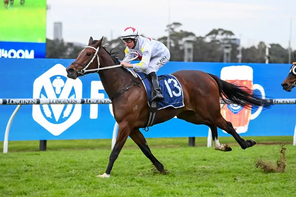 Rosehill Preview: Waller In No Hurry With Rising Star Image