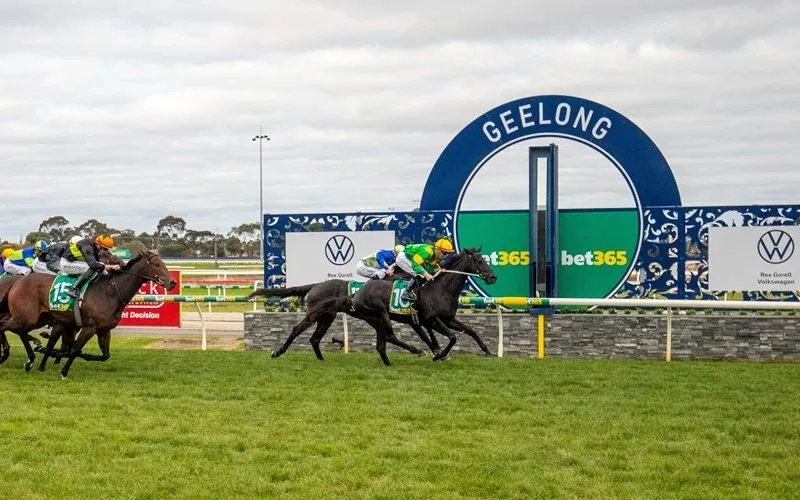 FREE: Geelong Tip Sheet & Staking Plan: Wednesday 4th December Image