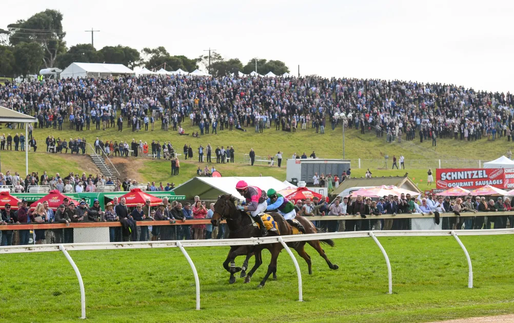FREE: Warrnambool Tip Sheet & Staking Plan: Wednesday 3rd May Image