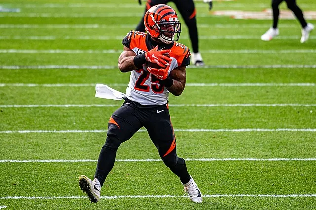 Tampa Bay Buccaneers sign Giovani Bernard Image