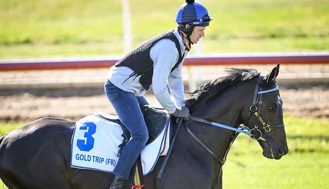 Moonee Valley Preview: Maher Planning For A Gold Cox Plate Trip Image