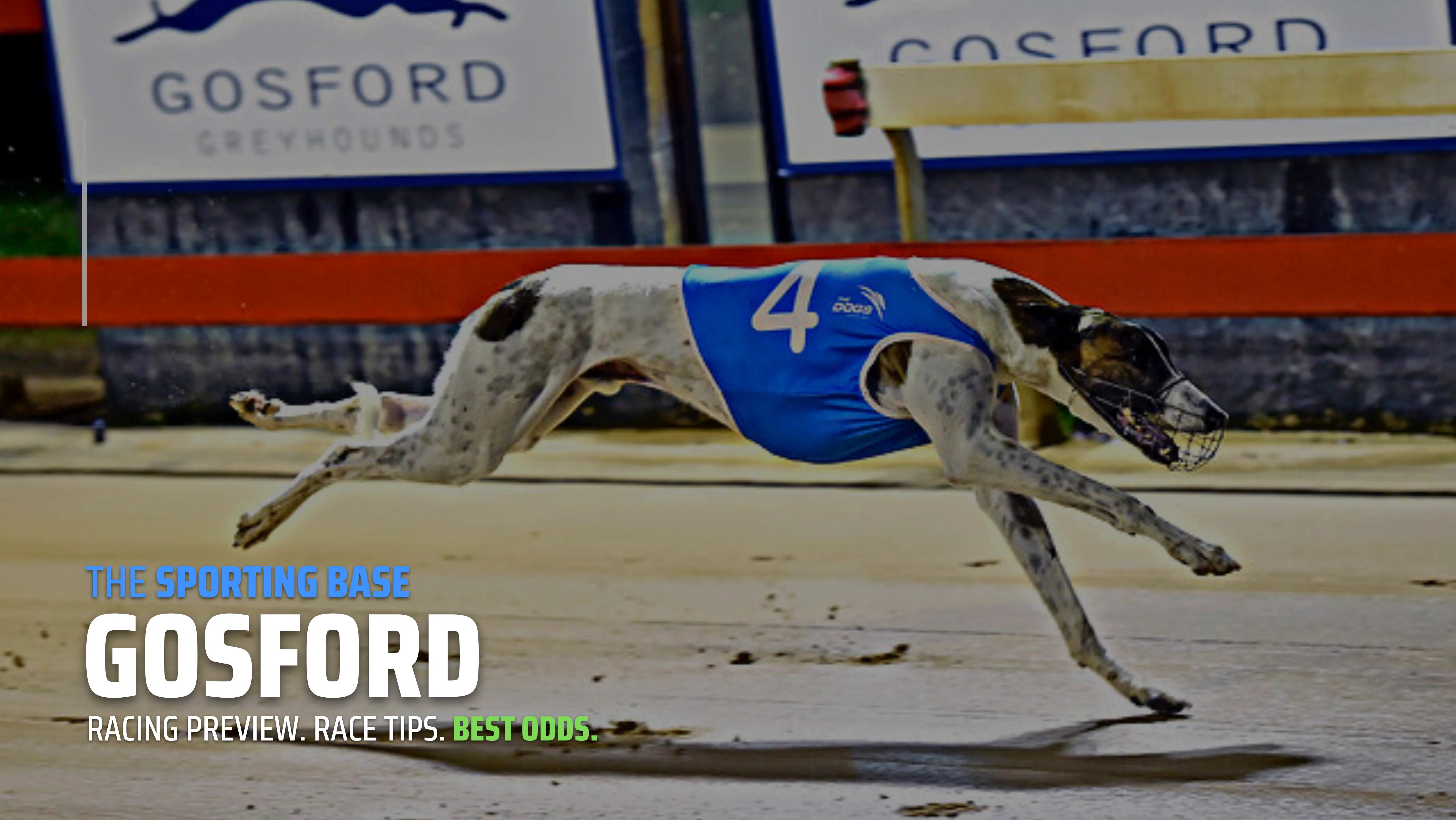 FREE: Gosford Greyhounds Tip Sheet & Staking Plan 27th December Image