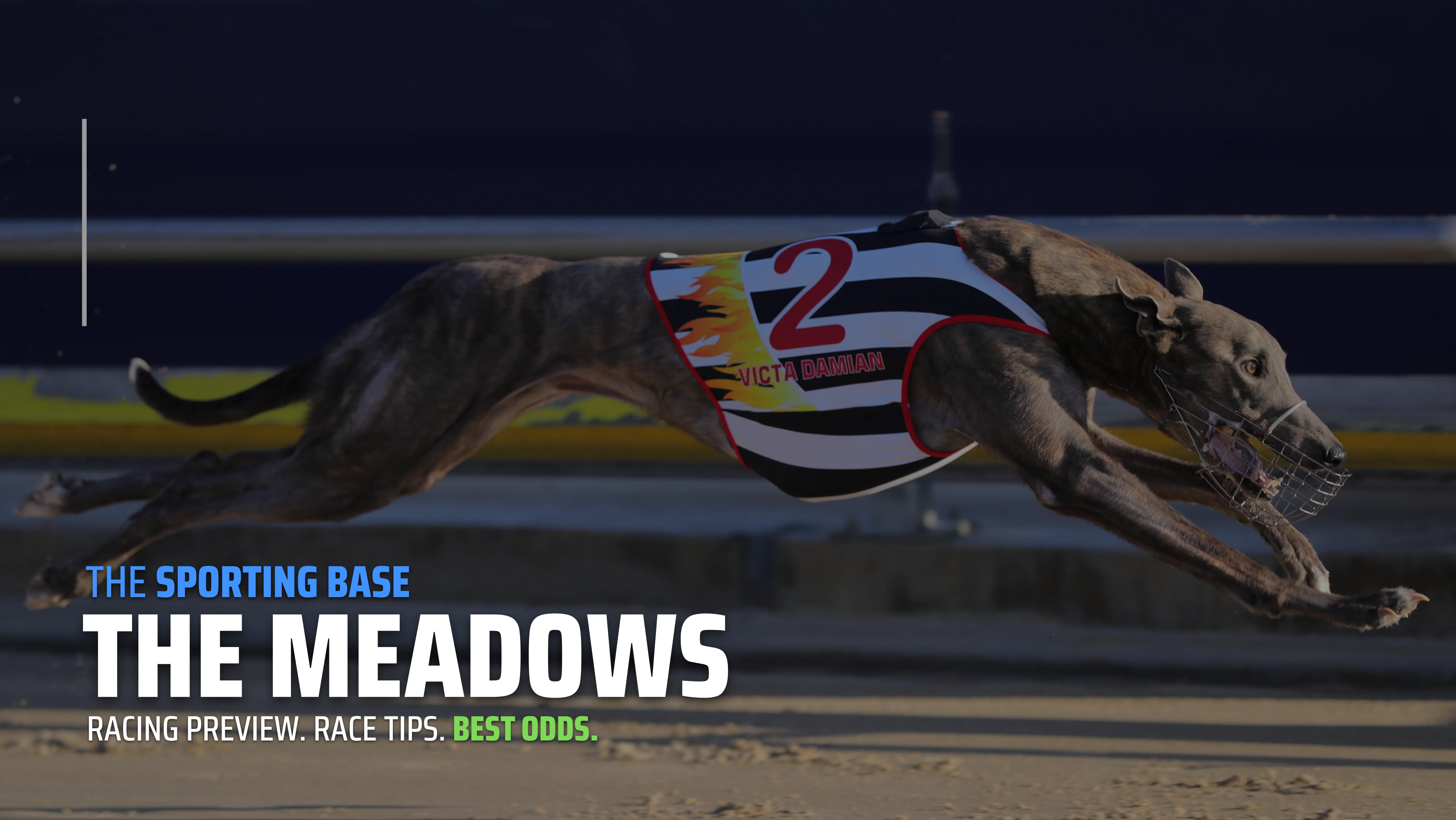 FREE: The Meadows Greyhounds Tip Sheet & Staking Plan 25th February Image