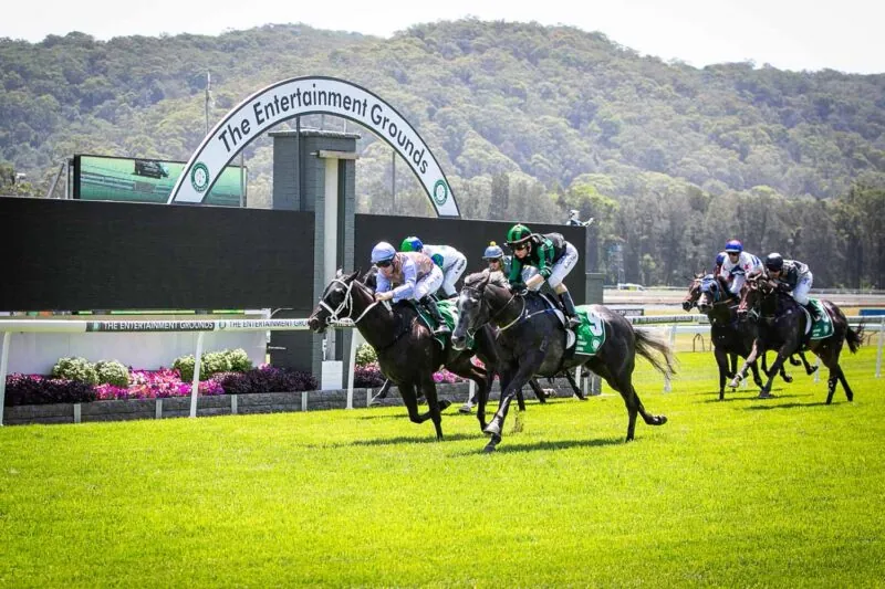 FREE: Gosford Thursday 23rd June – Our Picks Image