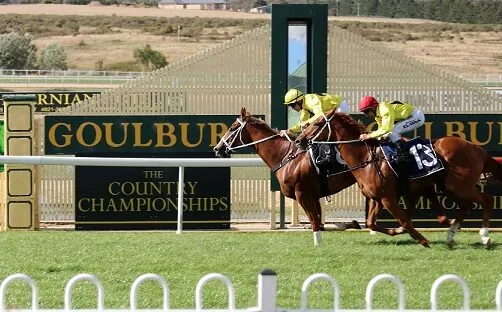 Our BlackBook & Trial Runners: Horses Running Today & Staking Plan 11/9 Image