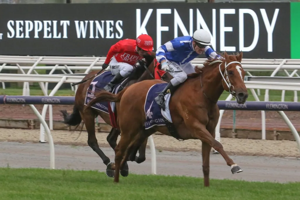 Flemington Tip Sheet & Staking Plan: Saturday 12th December Image