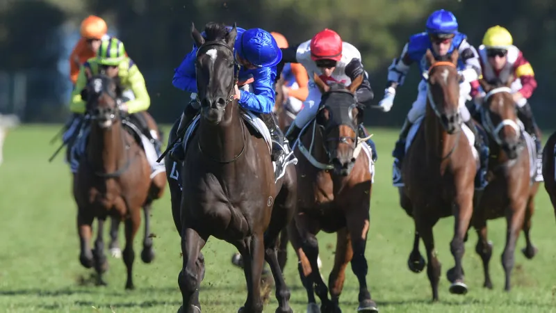 Rosehill Tip Sheet & Staking Plan: Saturday 30th January Image