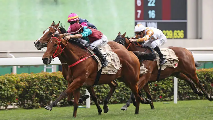 FREE: Happy Valley Best Bet 29/11 Image