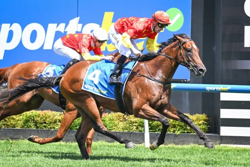 EXCITEMENT BUILDS FOR DIAMOND Image