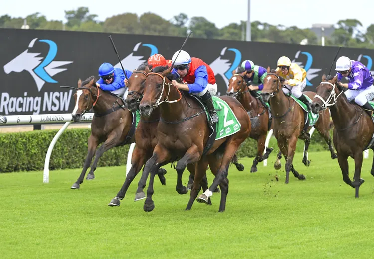 Rosehill Tip Sheet & Staking Plan: Saturday 4th December Image