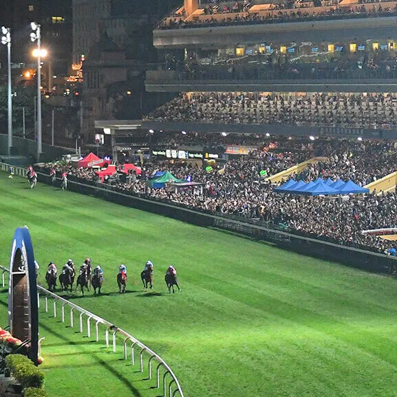 FREE: Sha Tin – Sunday 27th of March Image