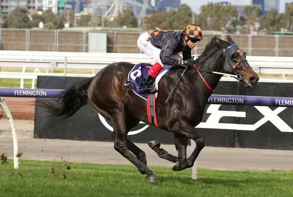 Don’t Be Horrified By His Win Image