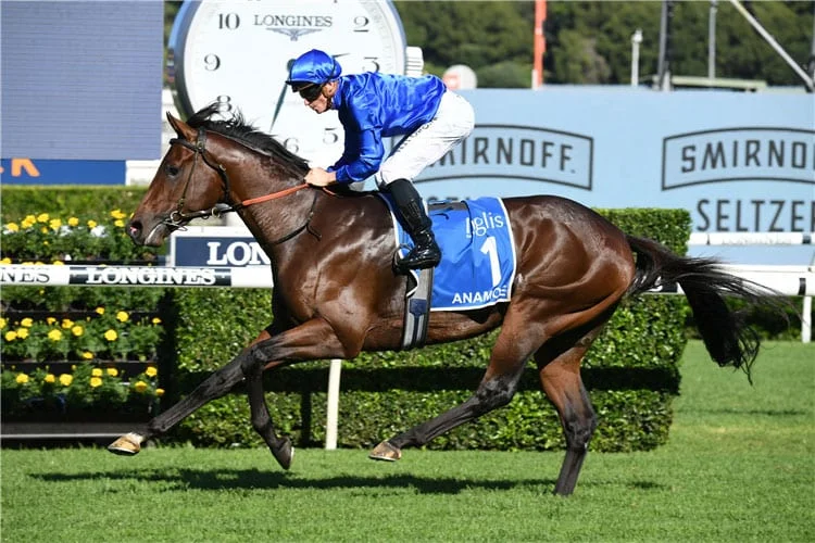 Randwick Review: Anamoe Set For Huge Spring Image