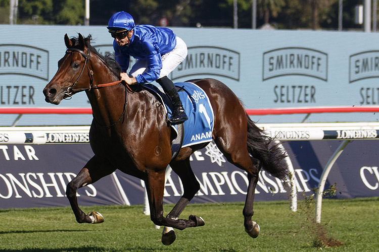 FREE: Randwick Saturday 20th August – Our Selections Image