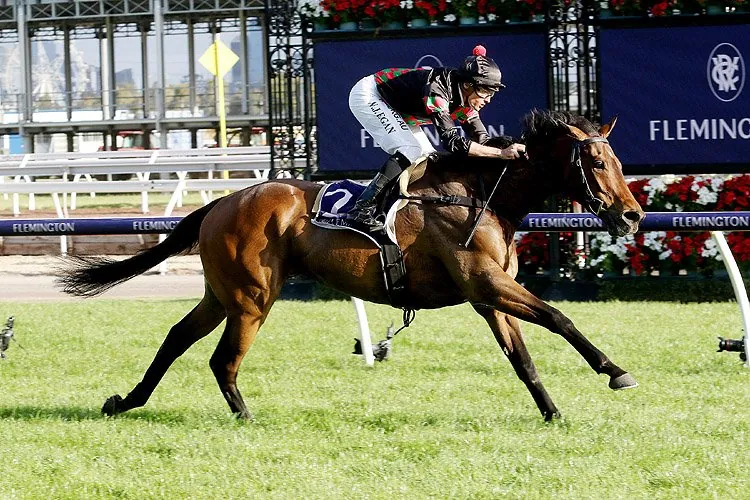 Horse To Follow & Horse To Sack From Flemington – Saturday 9th January Image