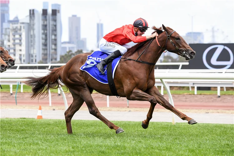 Dosh seeks to sustain perfect record Image