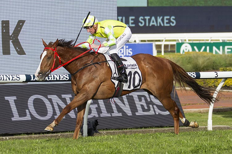FREE: Randwick Saturday 3rd September – Our Selections Image