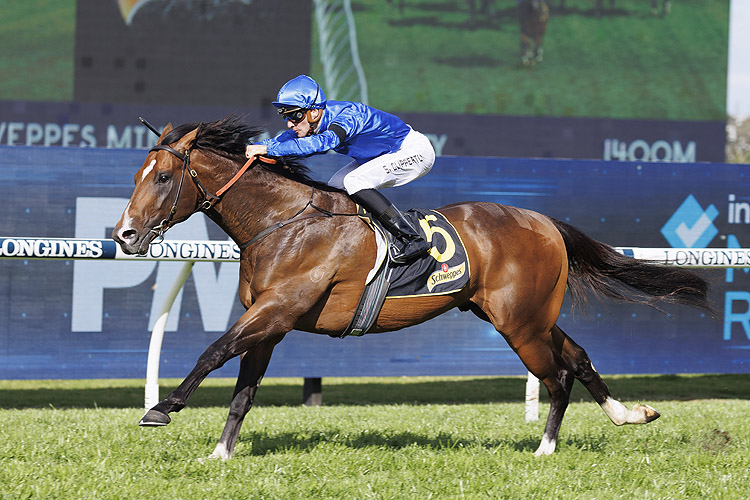 FREE: Rosehill Tip Sheet & Staking Plan: Saturday 28th January Image