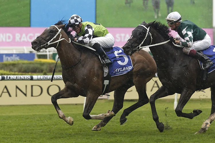 Rosehill Tip Sheet & Staking Plan: Saturday 13th February Image
