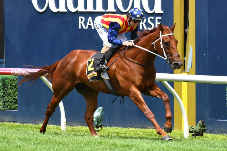 FREE: Randwick Saturday 17th September – Our Selections Image