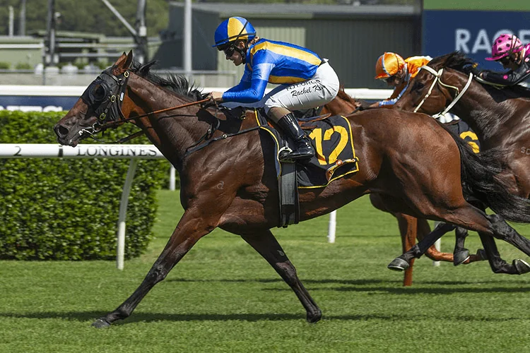 Our BlackBook & Trial Runners: Horses Running Today & Staking Plan 1/10 Image