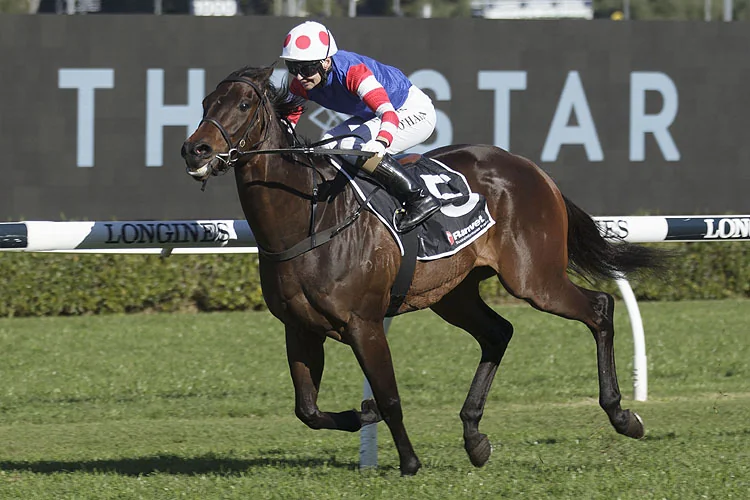 Randwick Tip Sheet & Staking Plan: Tuesday 2nd November Image