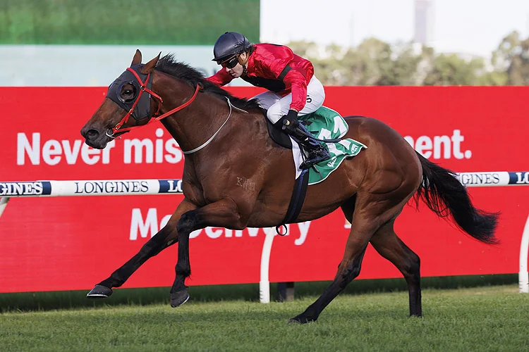 FREE: Randwick Tip Sheet & Staking Plan: Saturday 23rd April Image