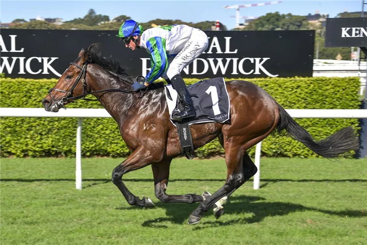 Our BlackBook & Trial Runners: Horses Running Today & Staking Plan 7/11 Image