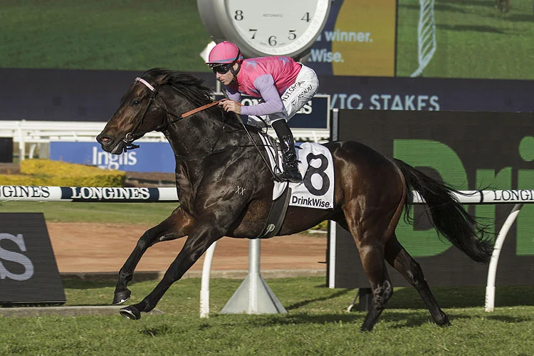 Our BlackBook & Trial Runners: Horses Running Today & Staking Plan 11/11 Image