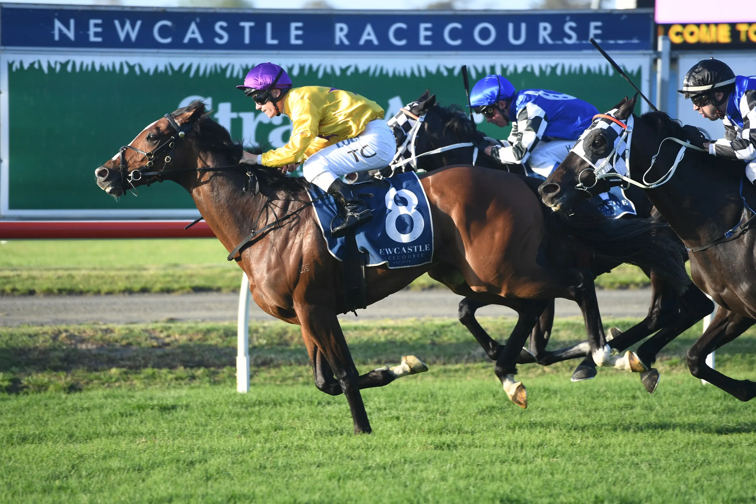 Our BlackBook & Trial Runners: Horses Running Today & Staking Plan 13/8 Image