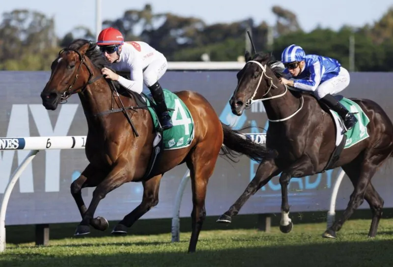 Randwick Preview: I Am Me On Her Way To Better Races Image