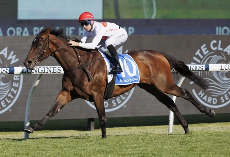Black Book: Horses You Must Follow From Rosehill 3/12 Image