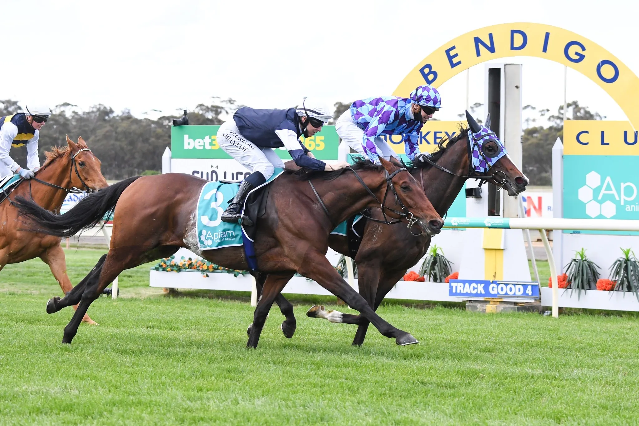 Princess Jenni set to bounce back at Flemington Image