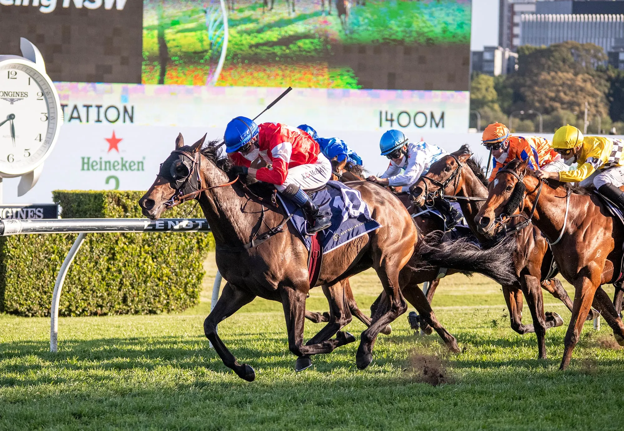 FREE: Randwick Tip Sheet & Staking Plan: Saturday 22nd October Image