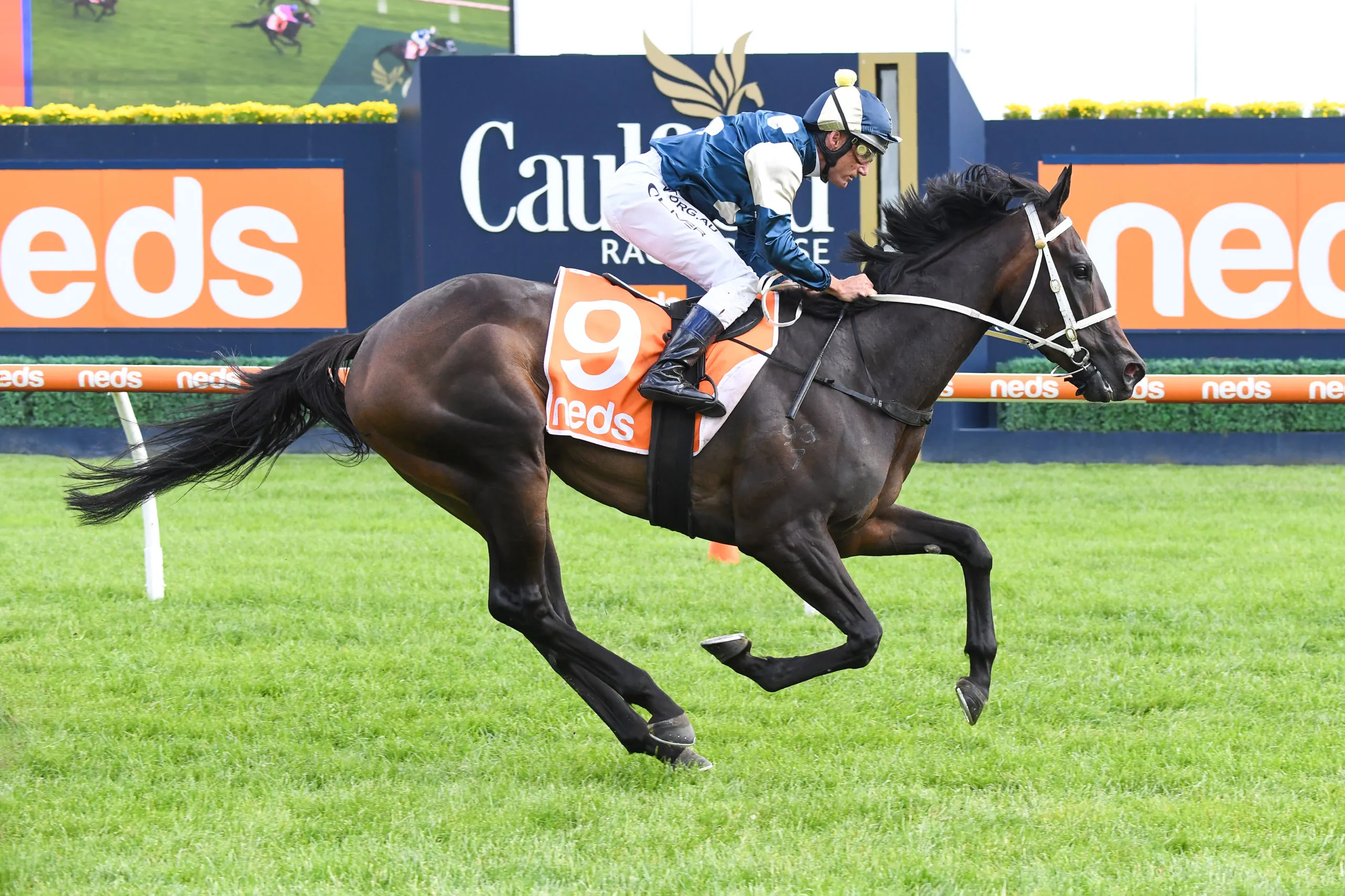 FREE: Caulfield Tip Sheet & Staking Plan: Saturday 9th October Image
