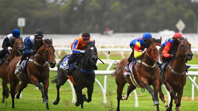 “Underwhelming” Should You Follow Imperatriz? We Break Down The Trial & Here Chances Image