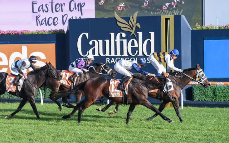 Caulfield Tip Sheet & Staking Plan: Saturday 26th December Image