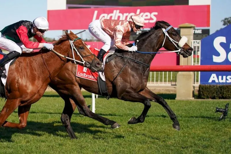 Flemington Preview: Caviar Ready For Next Step Image